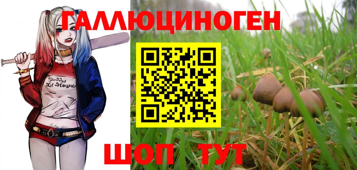 Псилоцибиновые грибы Cubensis Алушта