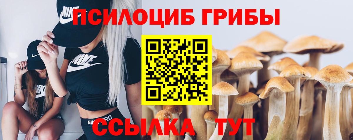 Галлюциногенные грибы мухоморы  Вход с VPN  Алушта  магазин продажи   Галлюциногенные грибы ЛСД 